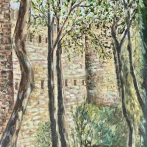 Old City Wall, Icheri Sheher - Baku, Azerbaijan;  20’x 30';